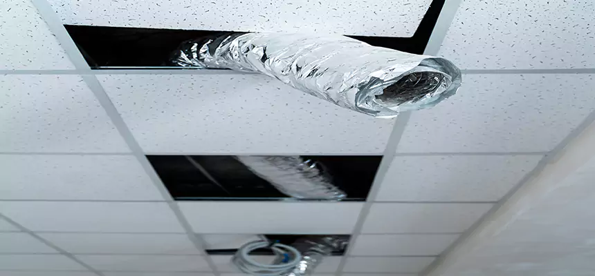 Our Air Duct Pet Hair Removal Services in Compton, CA