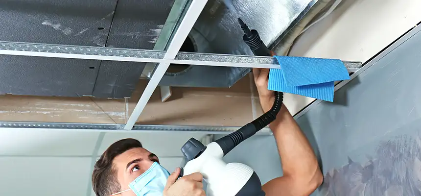 Our Air Duct Rodent Removal Services in Compton, CA