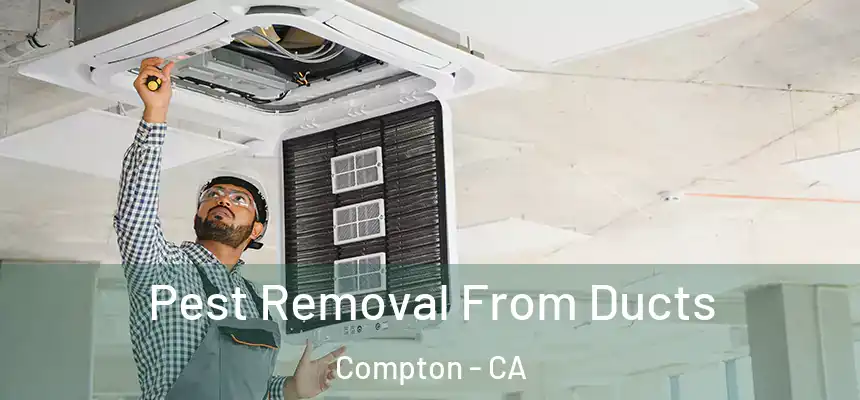 Pest Removal From Ducts Compton - CA