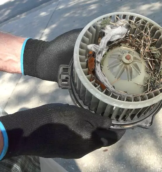 About Air Duct Mice Removal in Compton, CA