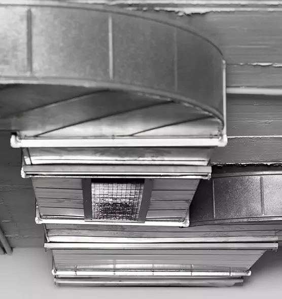 Professional Air Duct Pest Removal in Compton, CA