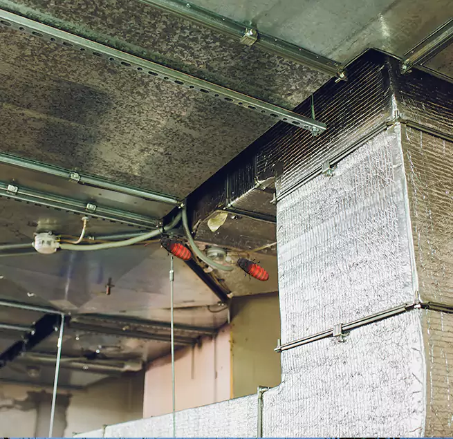 Why Homeowners & Businesses Trust Us in Compton, CA?