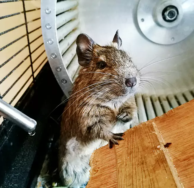 Why Homeowners & Businesses Trust Us Compton, CA